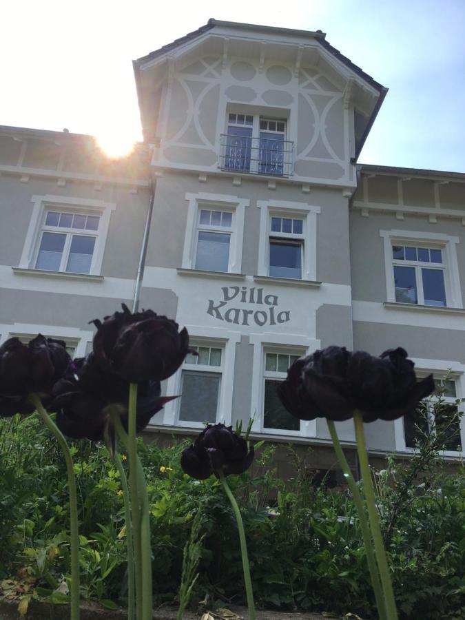 Dach-Maisonette "Villa Karola" An Der Therme Бад-Зульца Екстер'єр фото